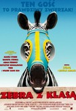 Zebra z klasą