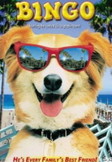 Bingo