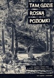Tam, gdzie rosną poziomki